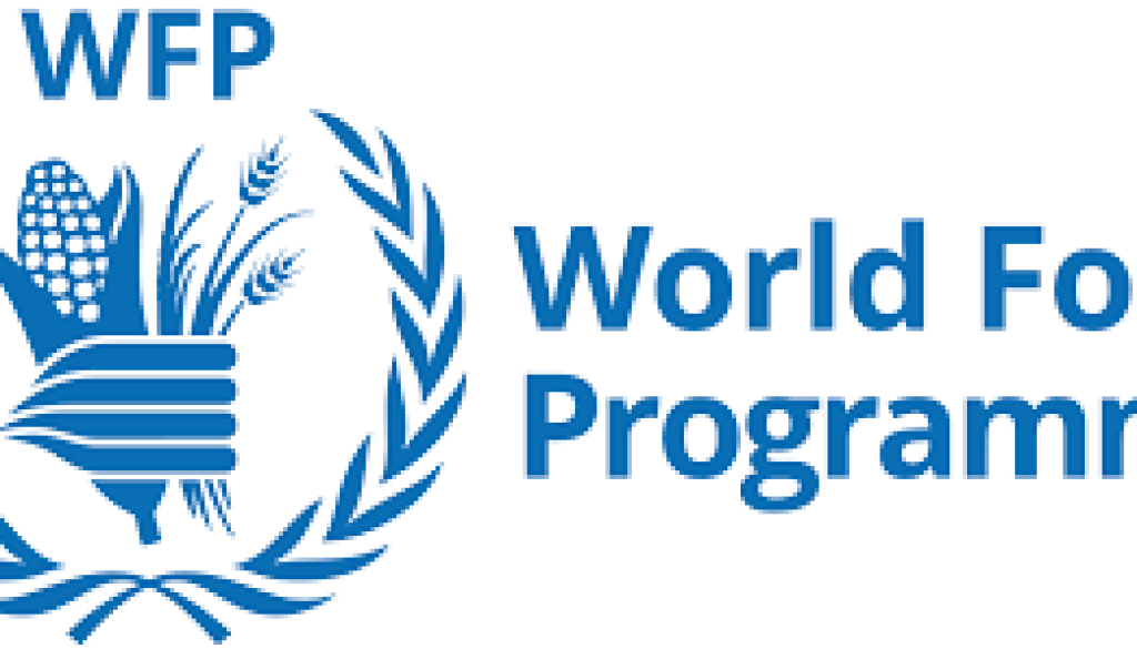 Programme Policy Officer (Deputy Head of Programme) Vacancy-Job Ref: ACYEWFP/2301/202405
