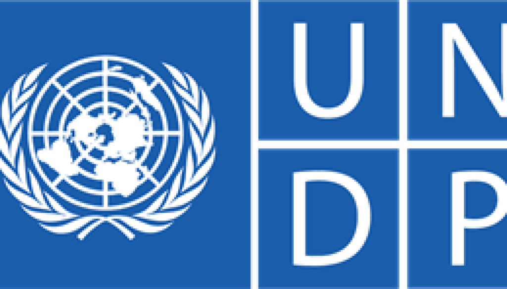 Project Analyst Vacancy-Job Ref: ACYEUNDP/1002/202471